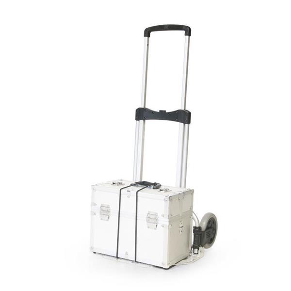 Kolica za stepenice1