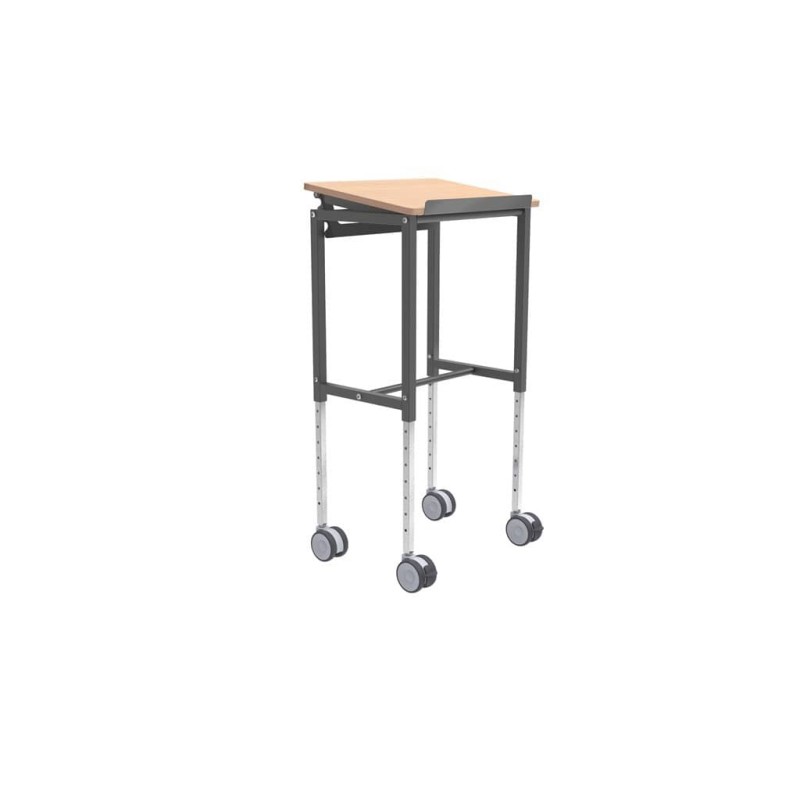 Stojalo za rad sa biciklima: Elsa