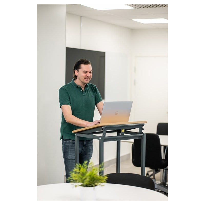 Stojalo za rad sa biciklima: Elsa