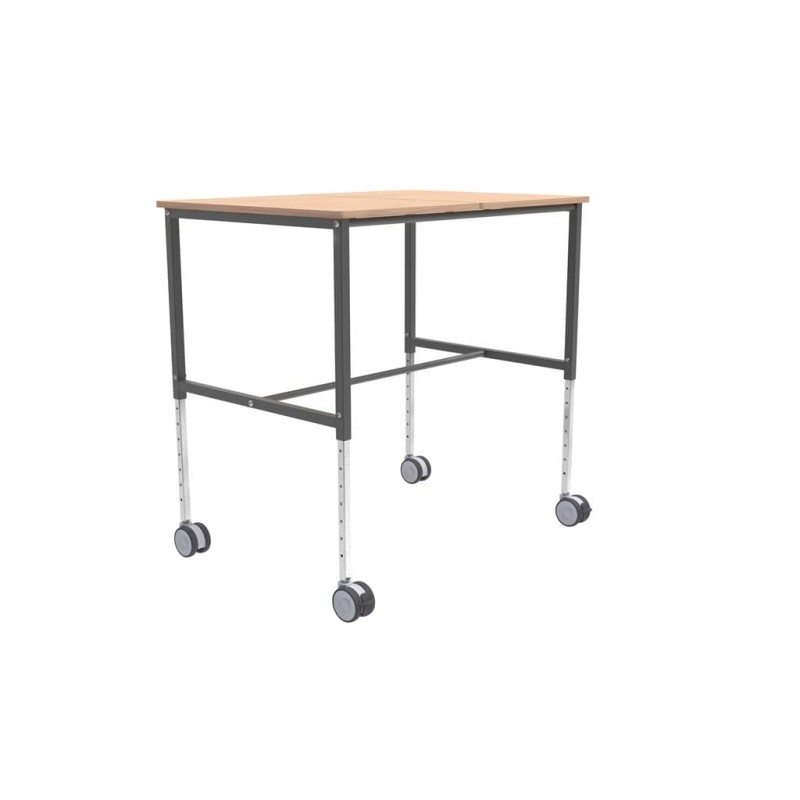 Stojalo za rad sa biciklima: Elsa