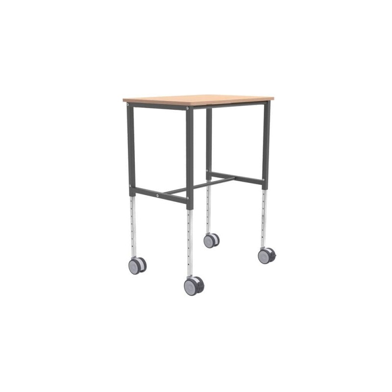 Stojalo za rad sa biciklima: Elsa