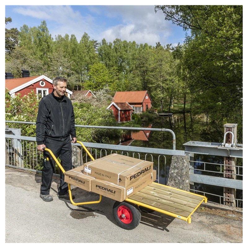 Dvotočkaški teretni voz: Indira