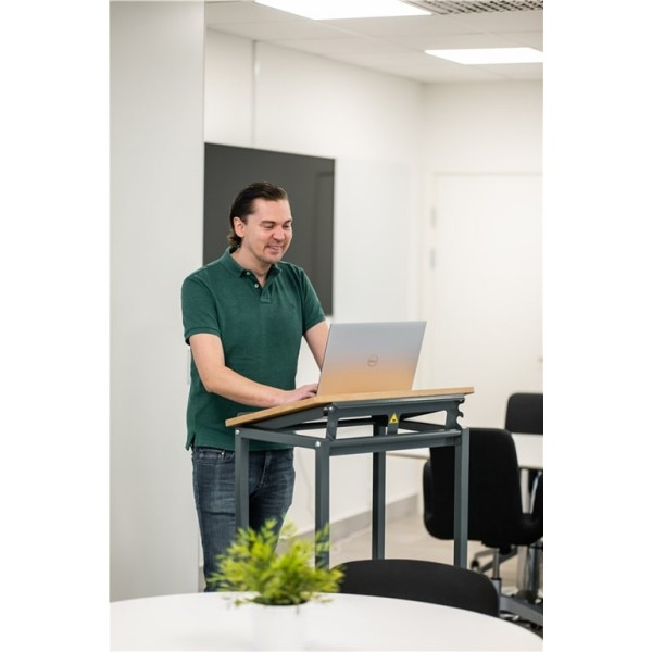 Stojalo za rad sa biciklima: Elsa