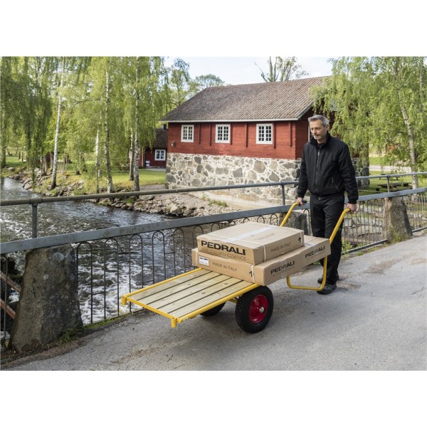 Dvotočkaški teretni voz: Indira