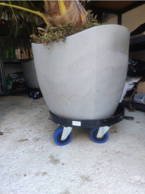 Podstavki po meri za palme in limone