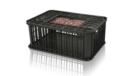 Transport-plastic-crates-for-poultry