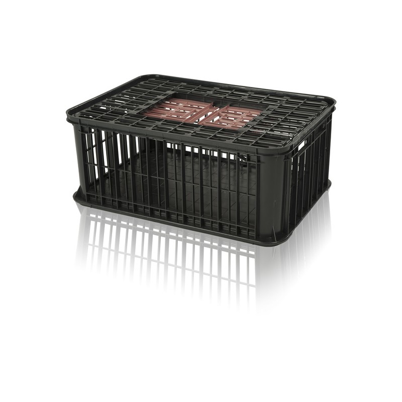 Transport plastic crate for poultry: Diana I